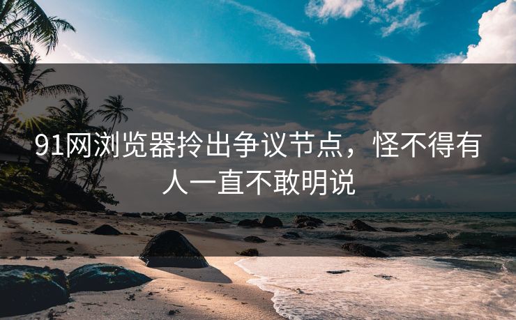 91网浏览器拎出争议节点，怪不得有人一直不敢明说